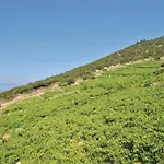 Peljesac-dingac-potocine With Outdoor Pool Дом отдыха Potomje