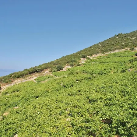 Peljesac-dingac-potocine With Outdoor Pool 度假居 Potomje